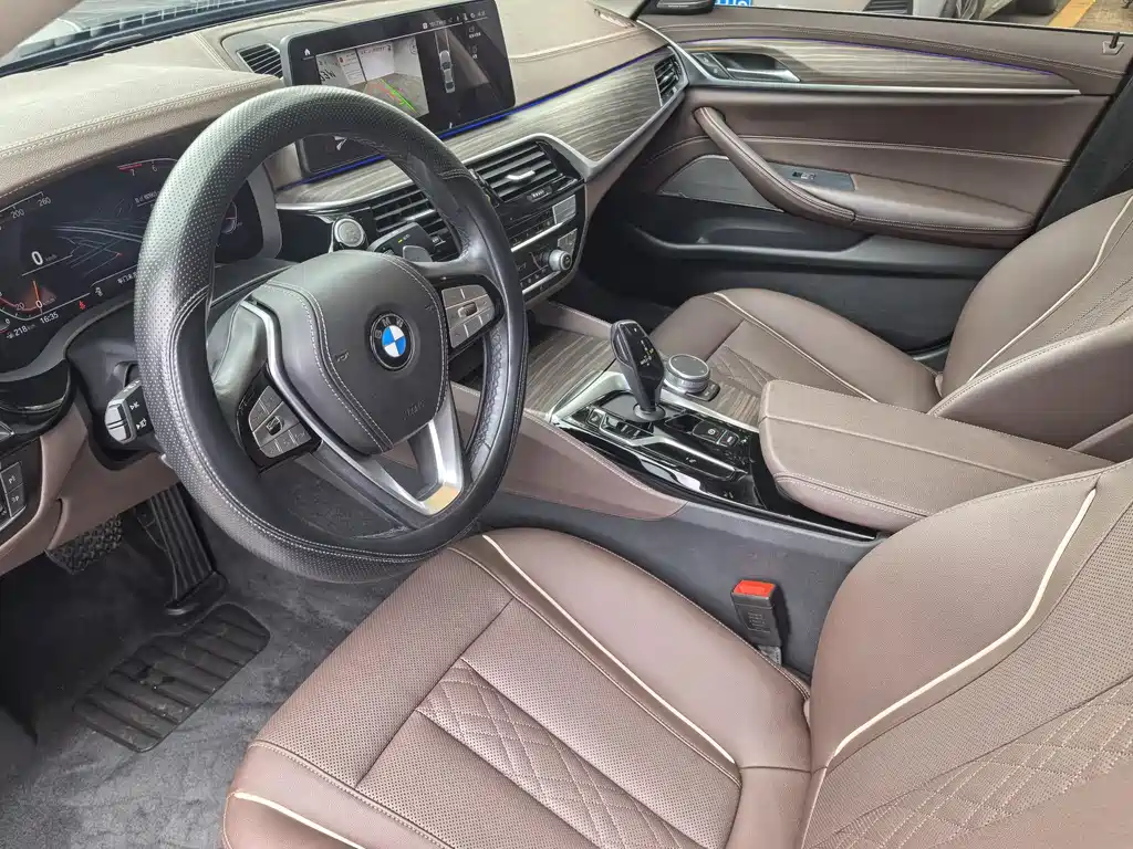 BMW 5 Series 5 2021 530Li Lead Luxury