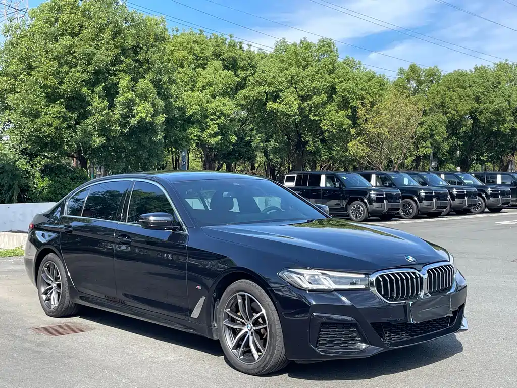 BMW 5 Series — миниатюра 3