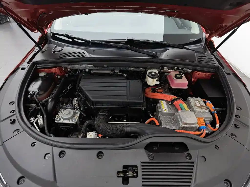 BYD Tang New Energy — миниатюра 6