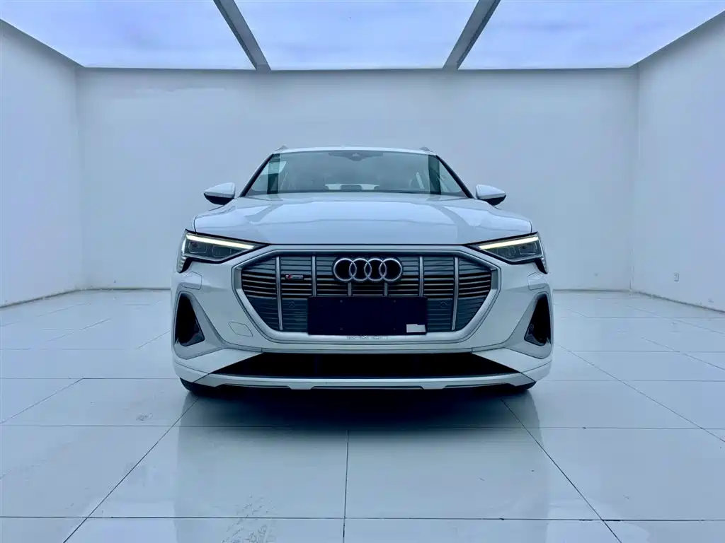Audi e-tron 2021 50 quattro Luxury
