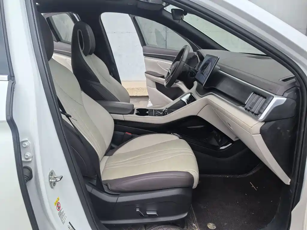 BYD PLUS New Energy — миниатюра 11