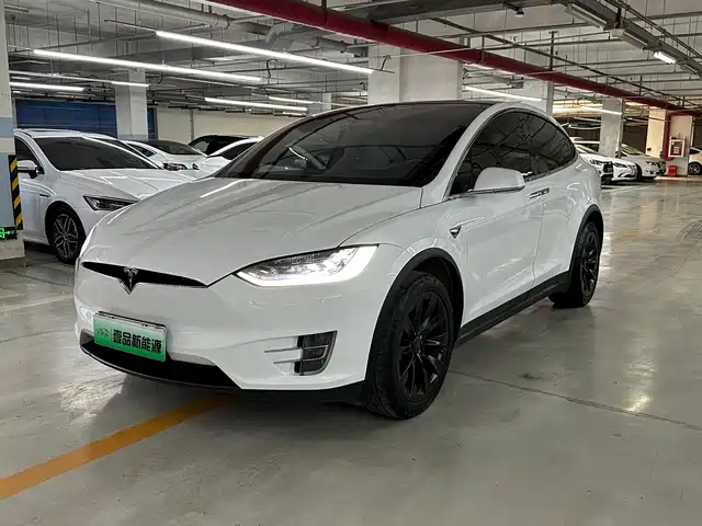 TESLA MODEL X 2019