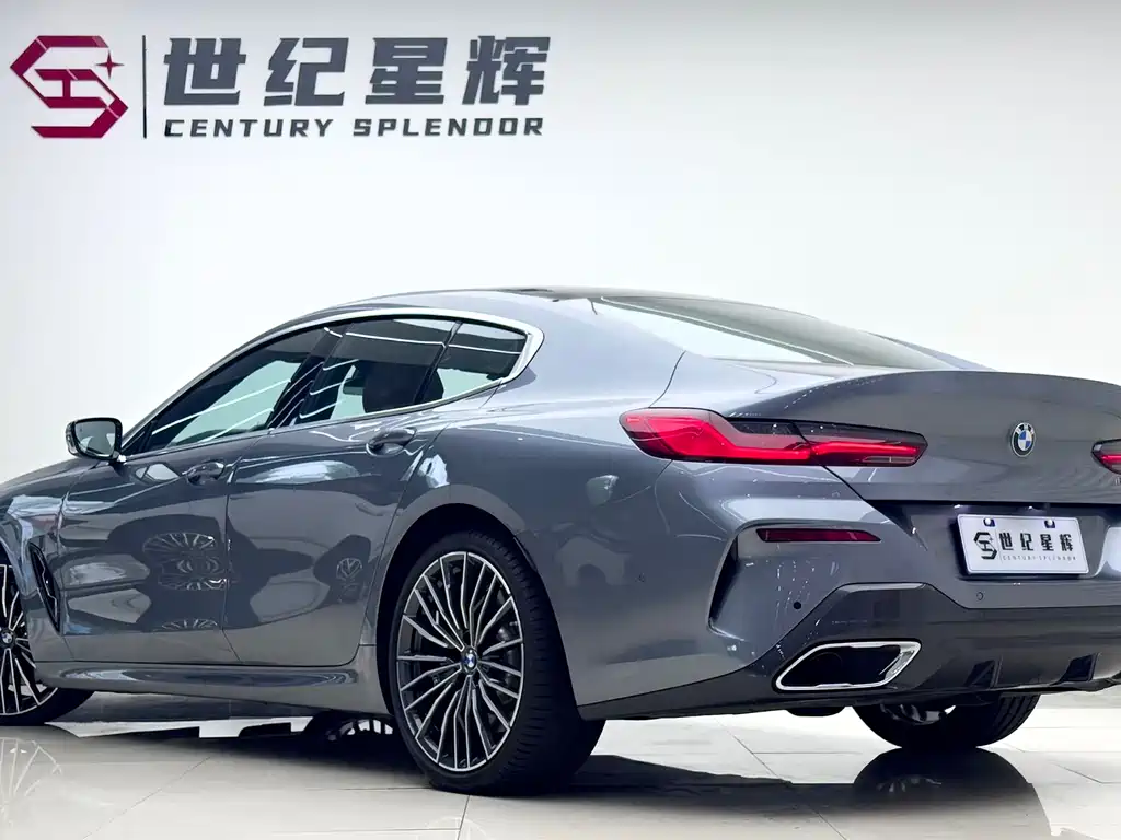 BMW 8 Series 840i 4-door Coupe M Sport Package, фото 4
