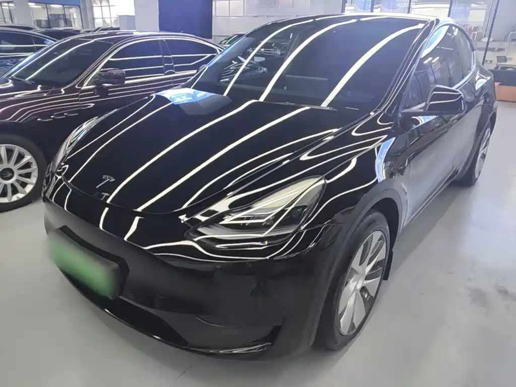 Tesla Model Y — миниатюра 2