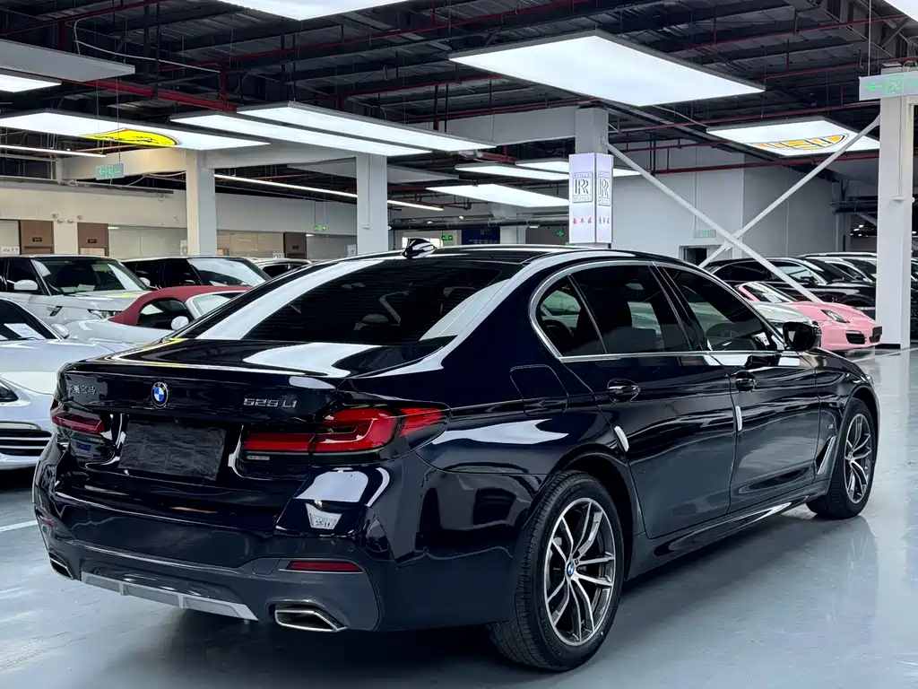 BMW 5 SERIES