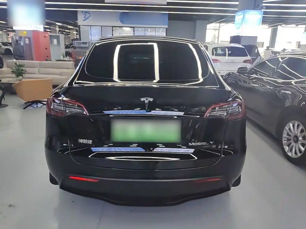 Tesla Model Y — миниатюра 6