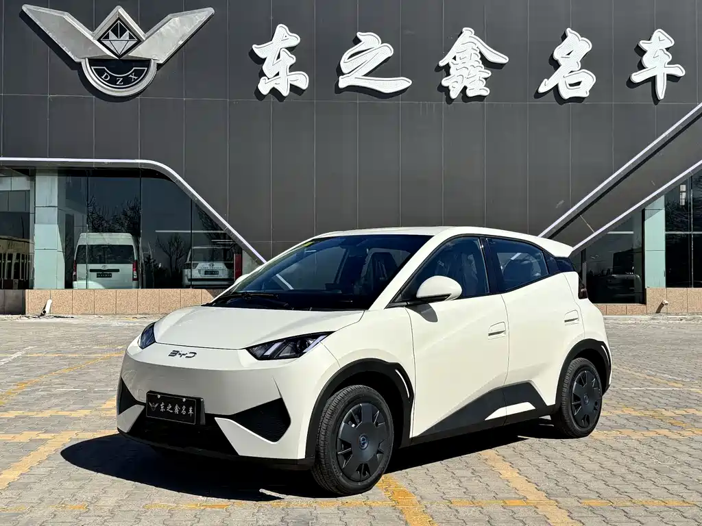 Byd Seagull 2025