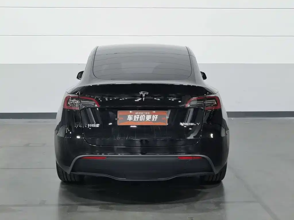 Tesla Model Y — миниатюра 4