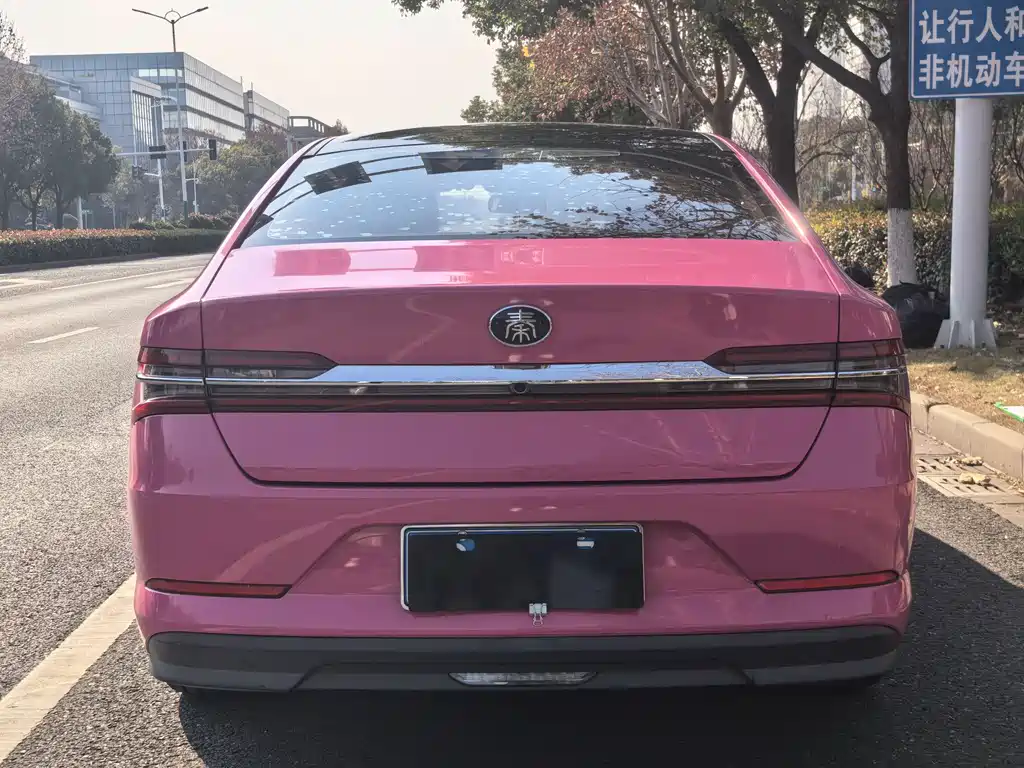BYD QIN PRO