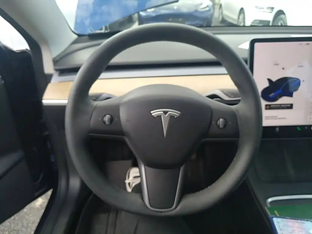 Tesla Model 3 — миниатюра 11