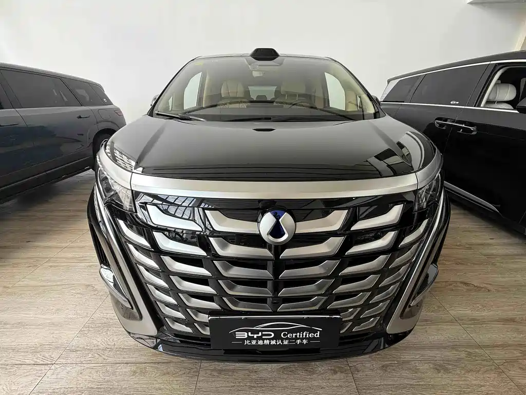 Denza Denza D9 — миниатюра 2