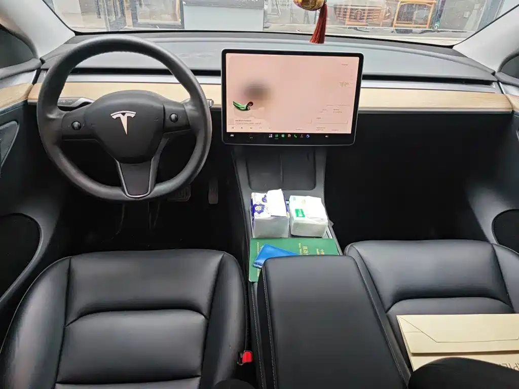 Tesla Model Y — миниатюра 5