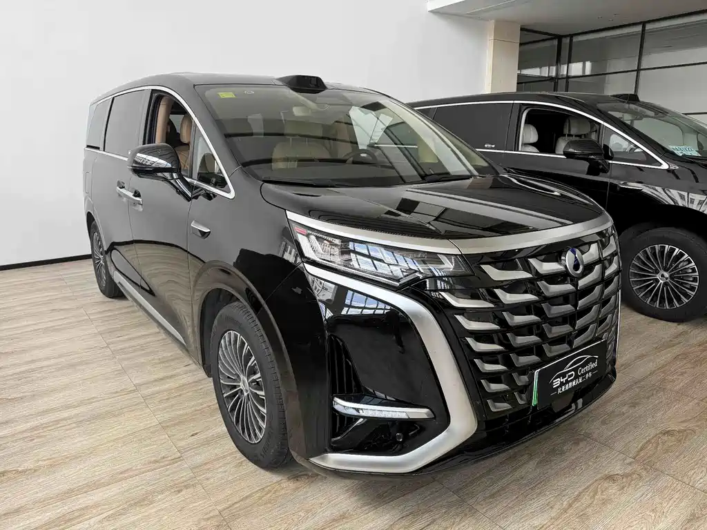 Denza Denza D9 — миниатюра 3