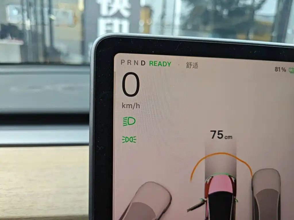 Tesla Model Y — миниатюра 7