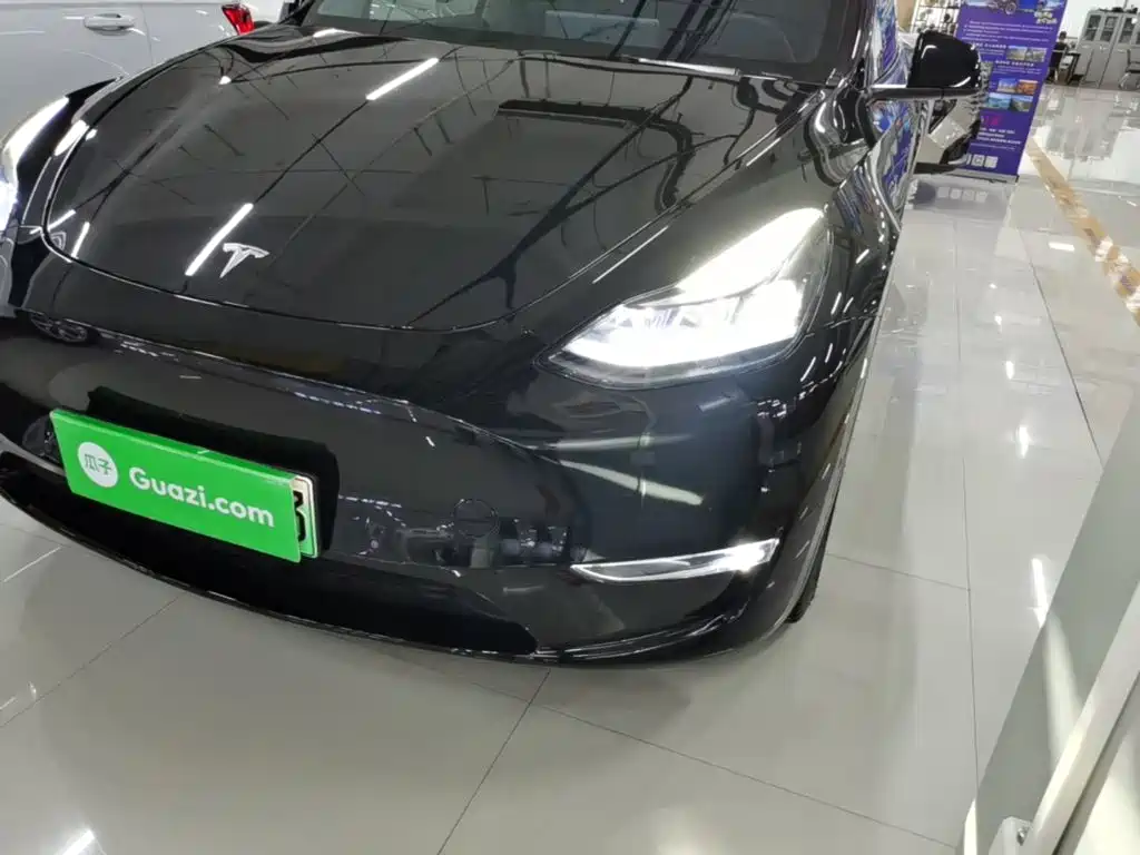 Tesla Model Y — миниатюра 24