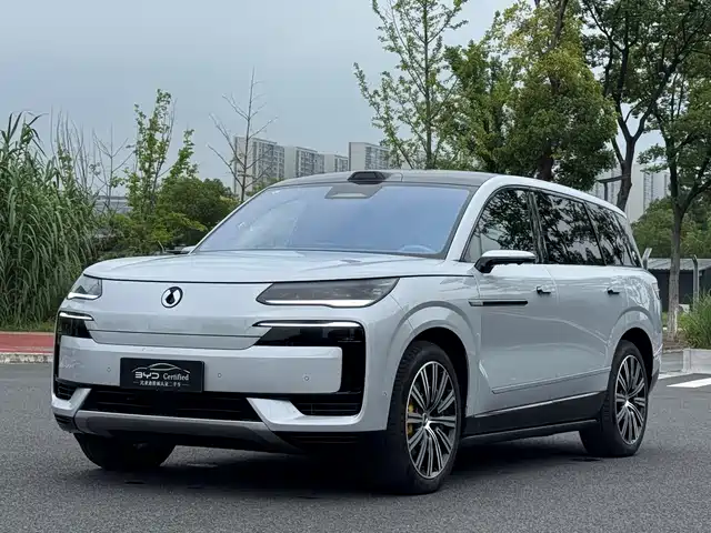 2025 Denza N9