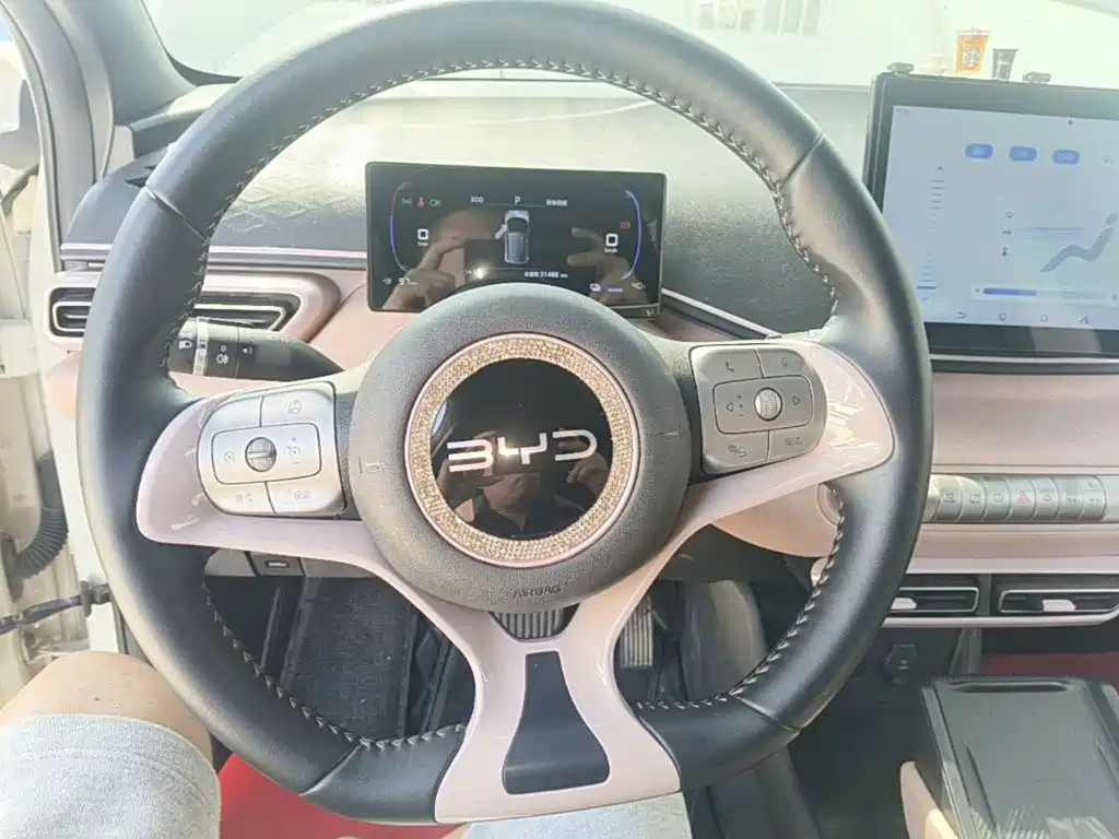 BYD Seagull — миниатюра 11