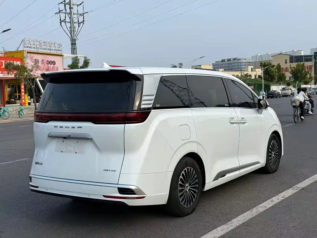 Denza Denza D9 — миниатюра 5