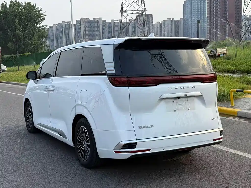 Denza Denza D9 — миниатюра 4