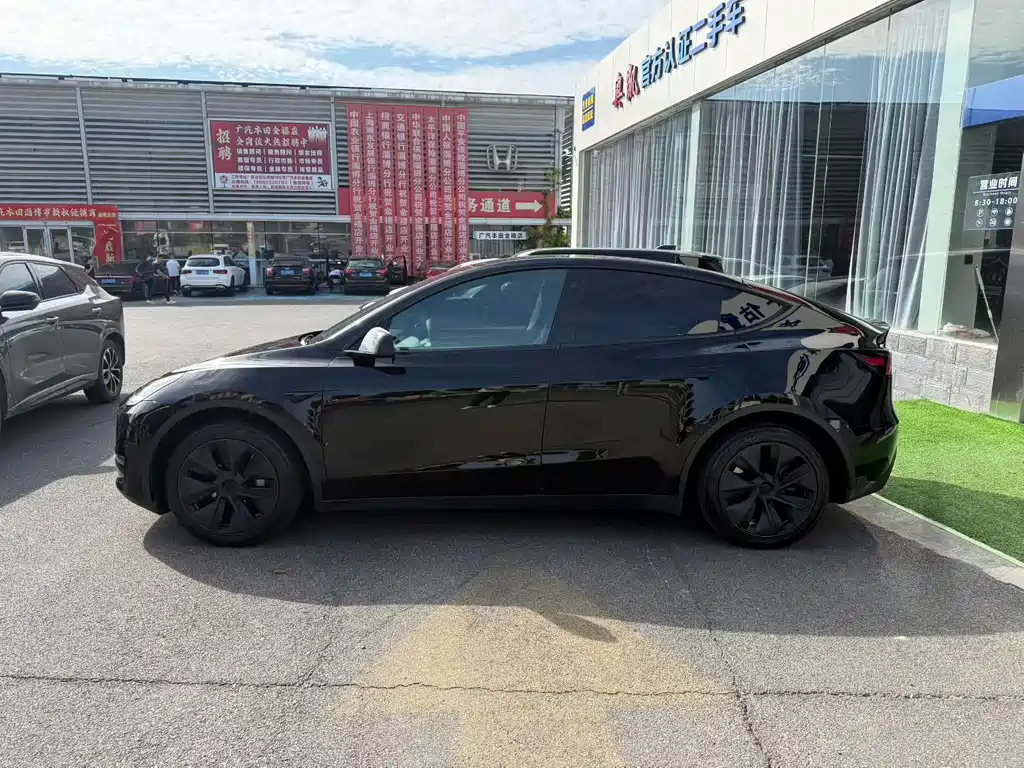 Tesla Model Y — миниатюра 6