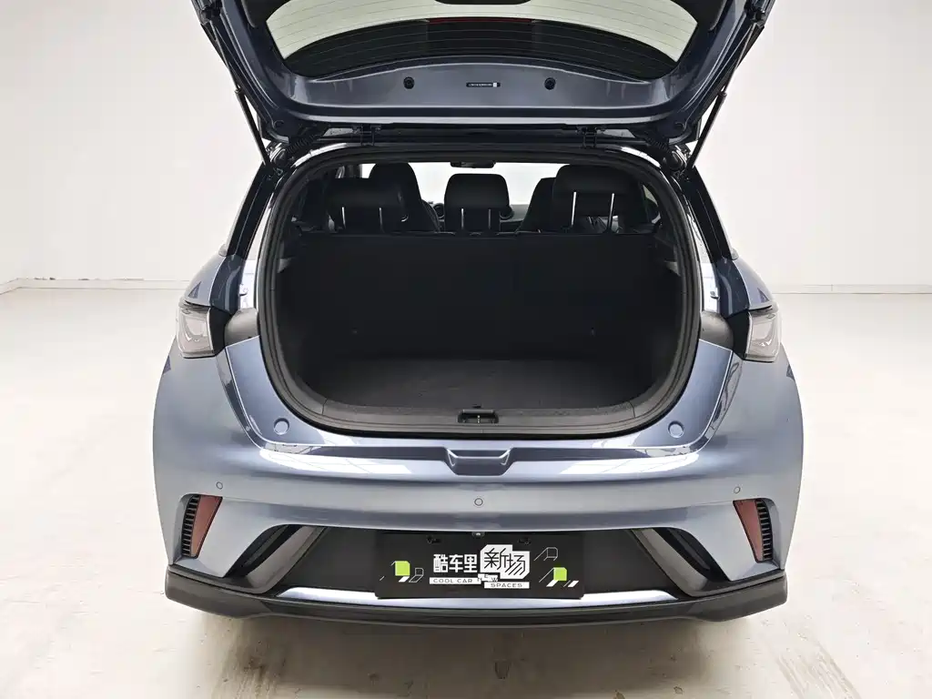 BYD Dolphin — миниатюра 10