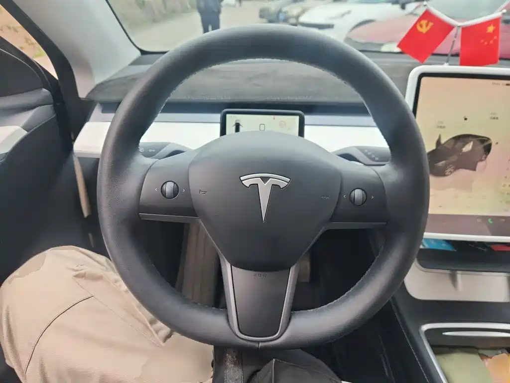 Tesla Model Y — миниатюра 7