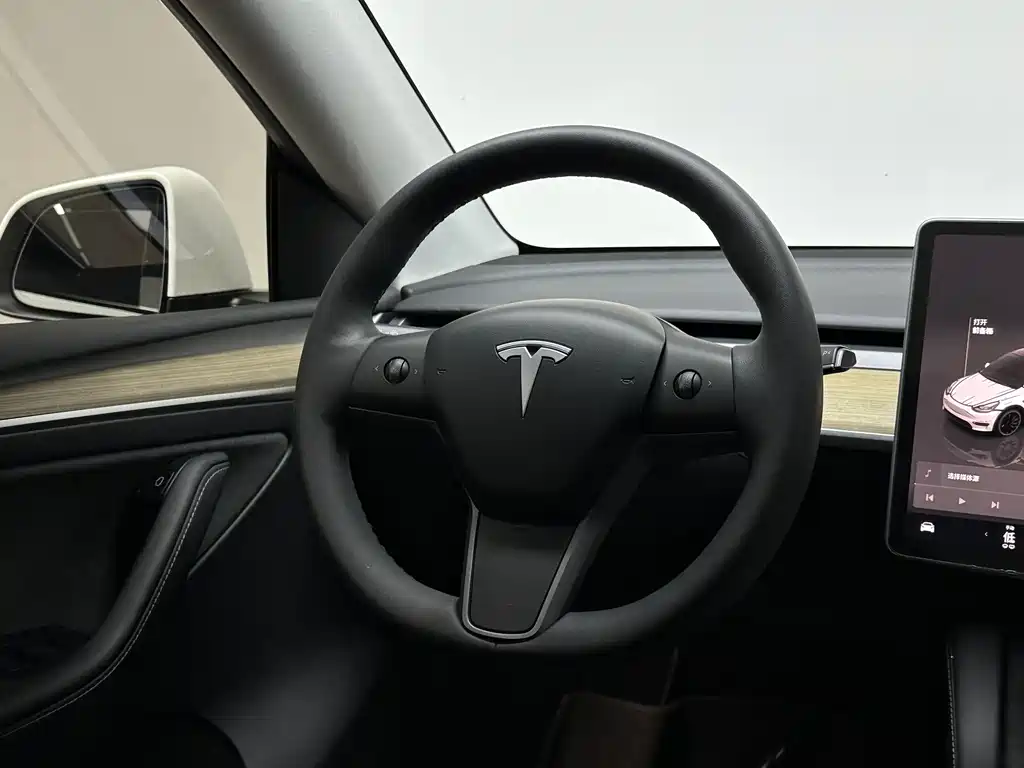 Tesla Model Y — фотографии объявления, Фото 16