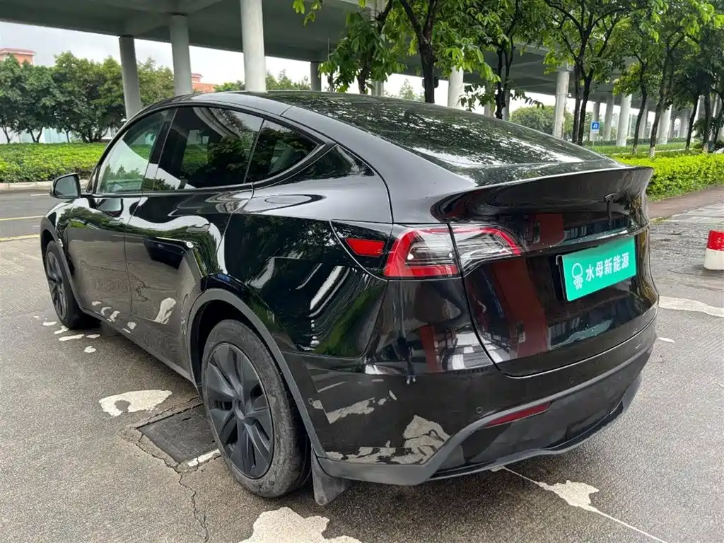 Tesla Model Y — миниатюра 6