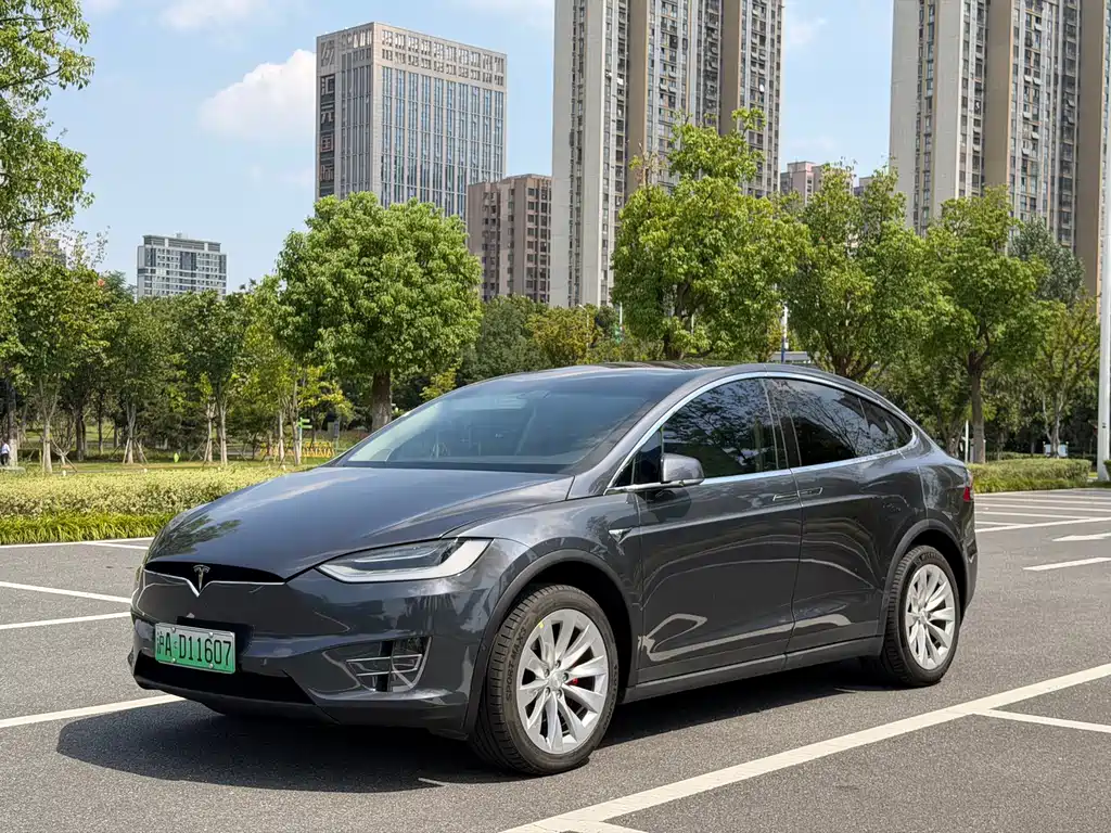 Tesla Model X — миниатюра 16