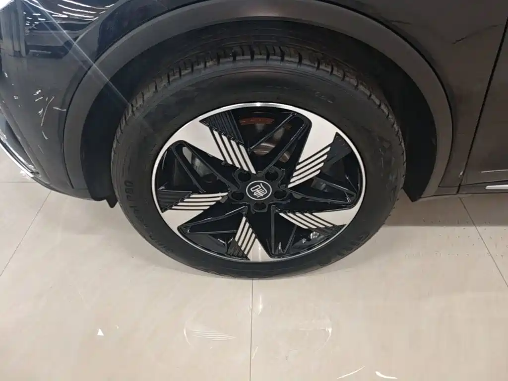 BYD Tang New Energy — миниатюра 23