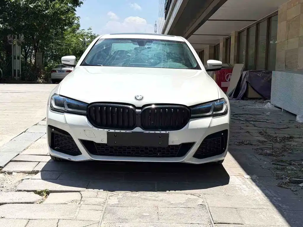 BMW 5 Series — миниатюра 3