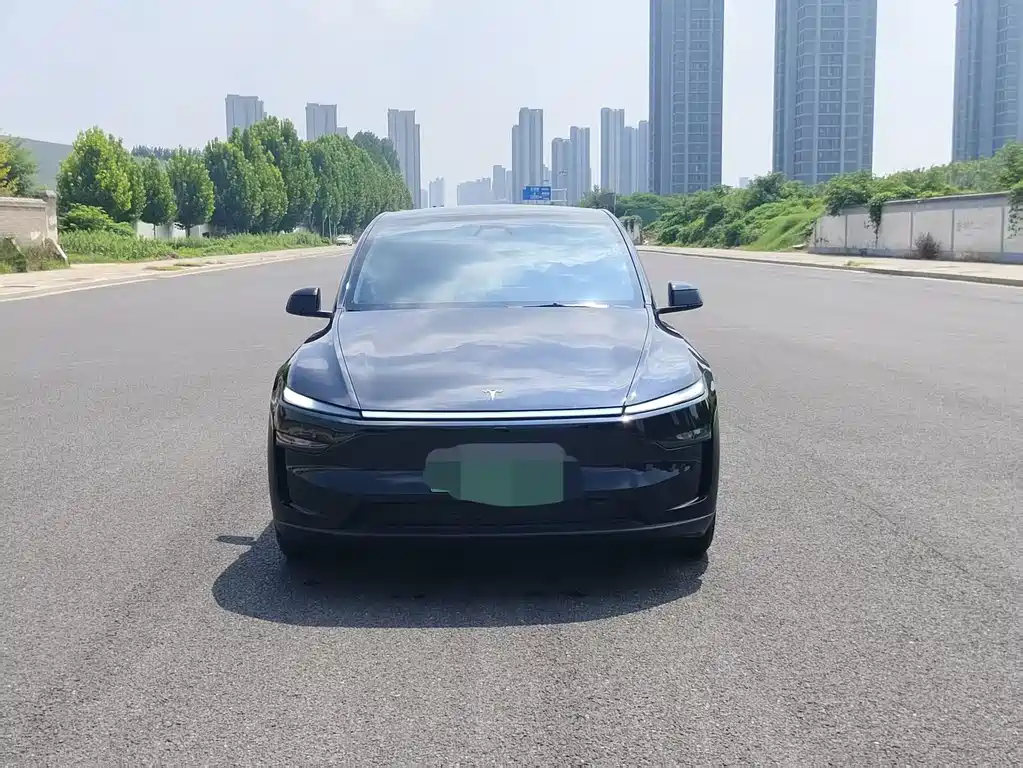 Tesla Model Y — миниатюра 2