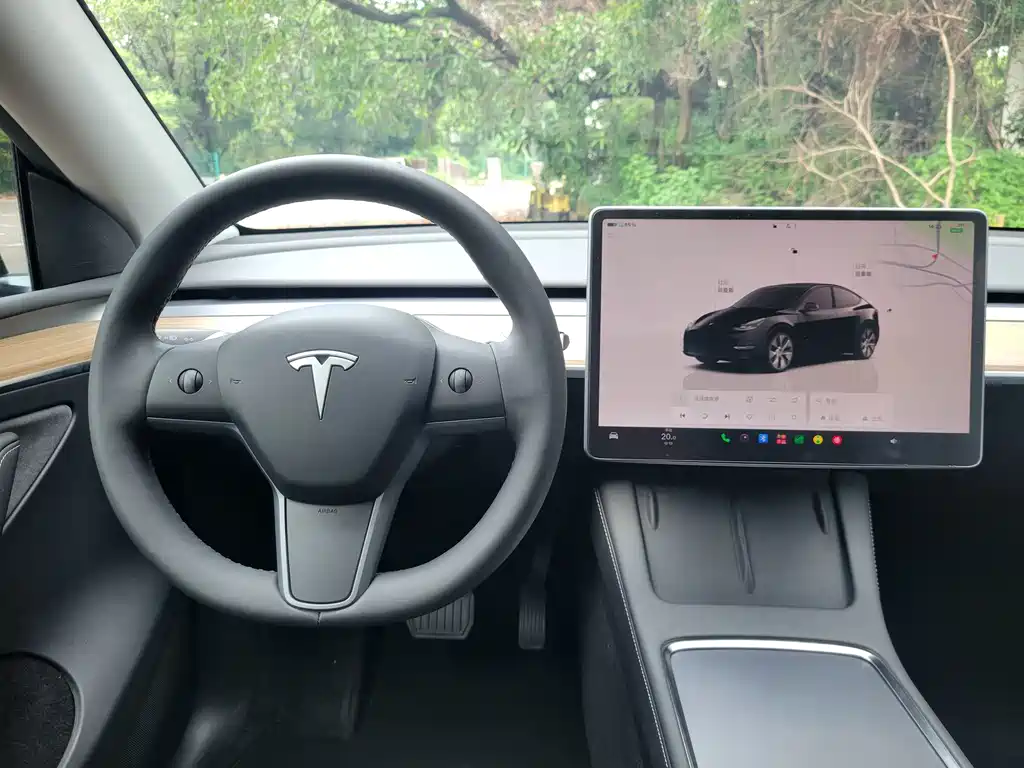 Tesla Model Y — миниатюра 21