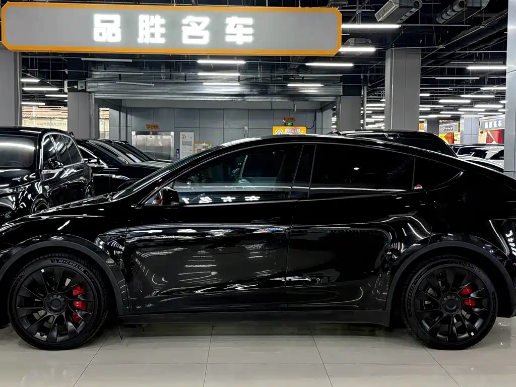 Tesla Model Y — миниатюра 4