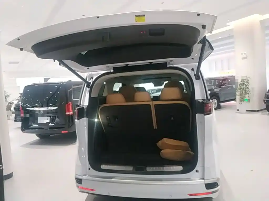 Denza Denza D9 — миниатюра 19