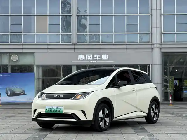 BYD DOLPHIN 2024