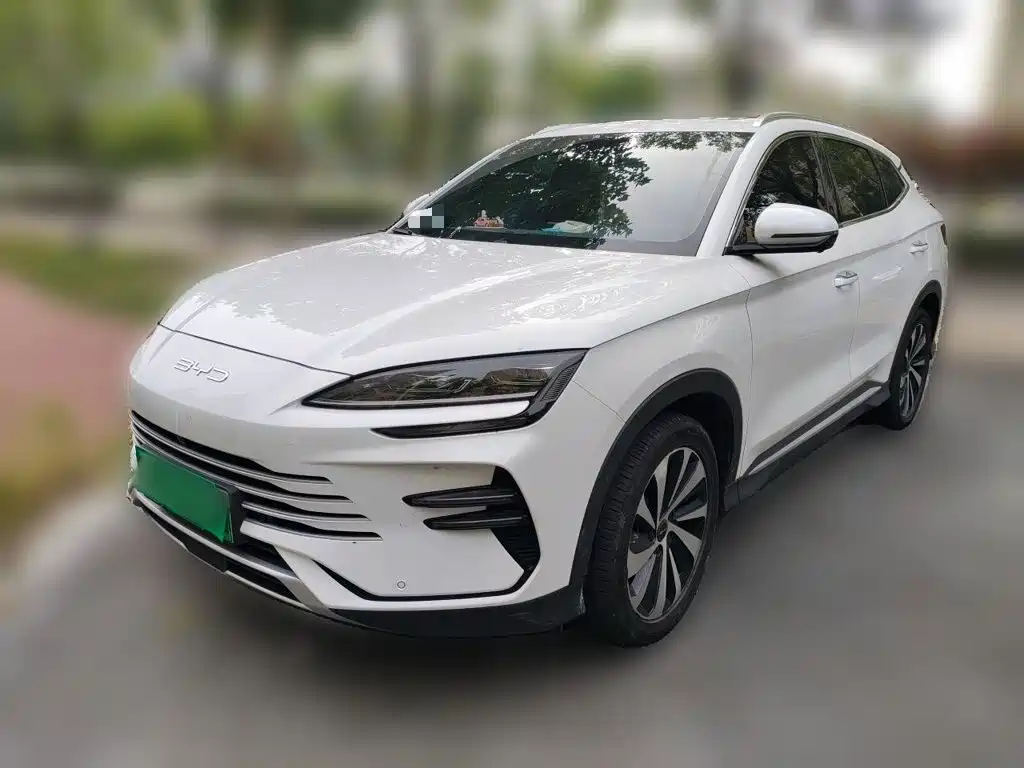 BYD PLUS New Energy