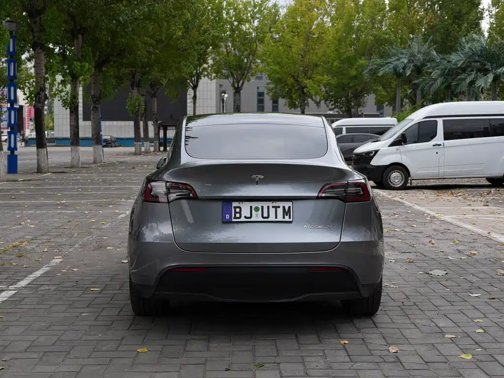 Tesla Model Y — миниатюра 6