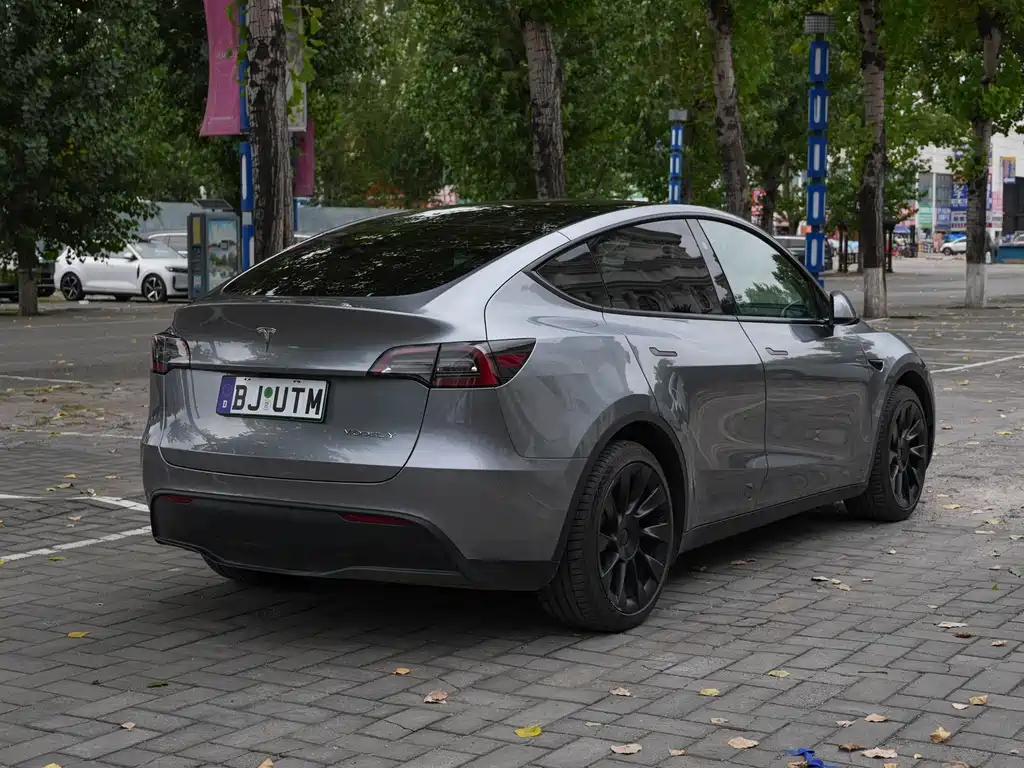 Tesla Model Y — миниатюра 5