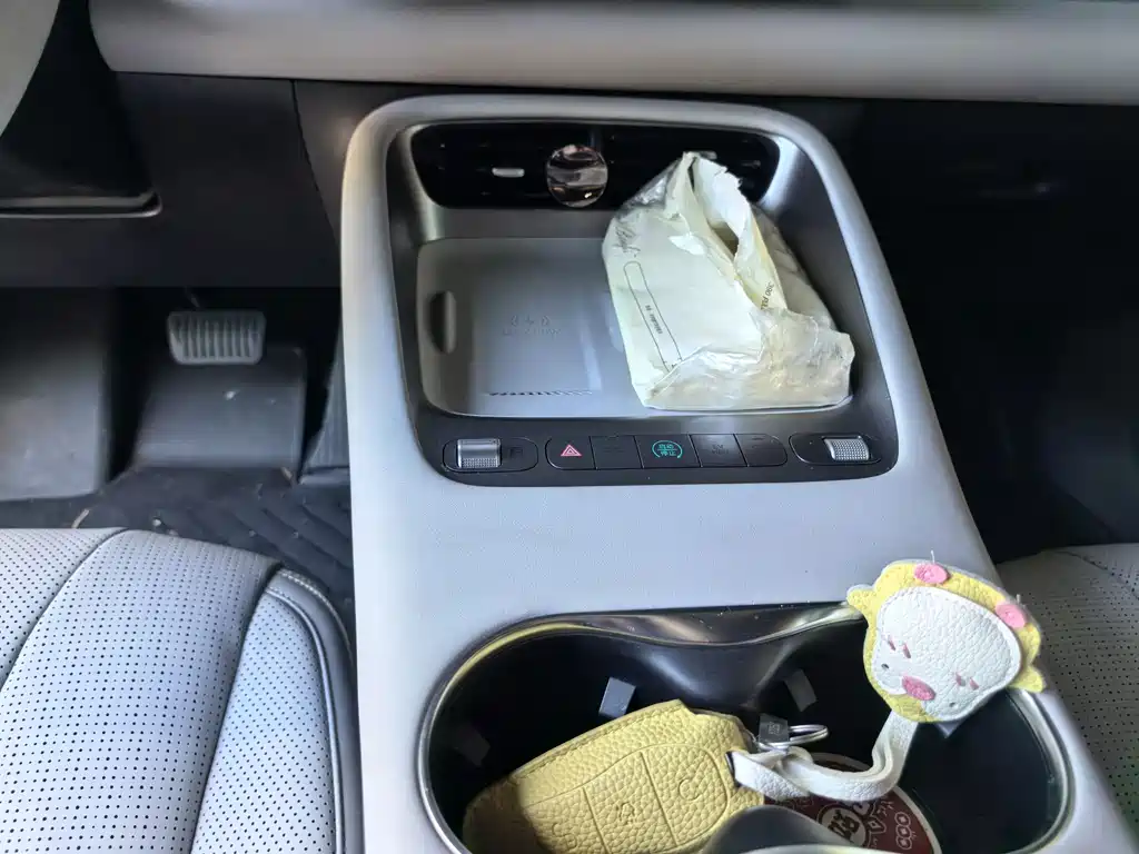 BYD Sea Lion 06 06 2025 DM-i 205 Pro