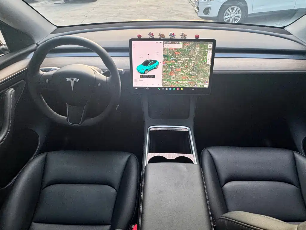 Tesla Model Y — миниатюра 11
