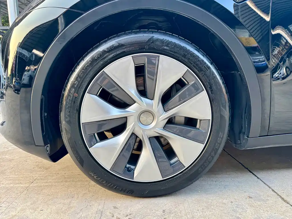 Tesla Model Y — миниатюра 32