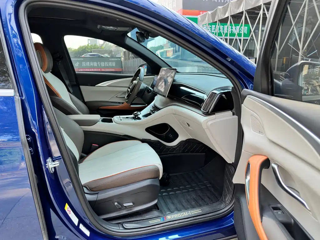 BYD Pro New Energy — миниатюра 11