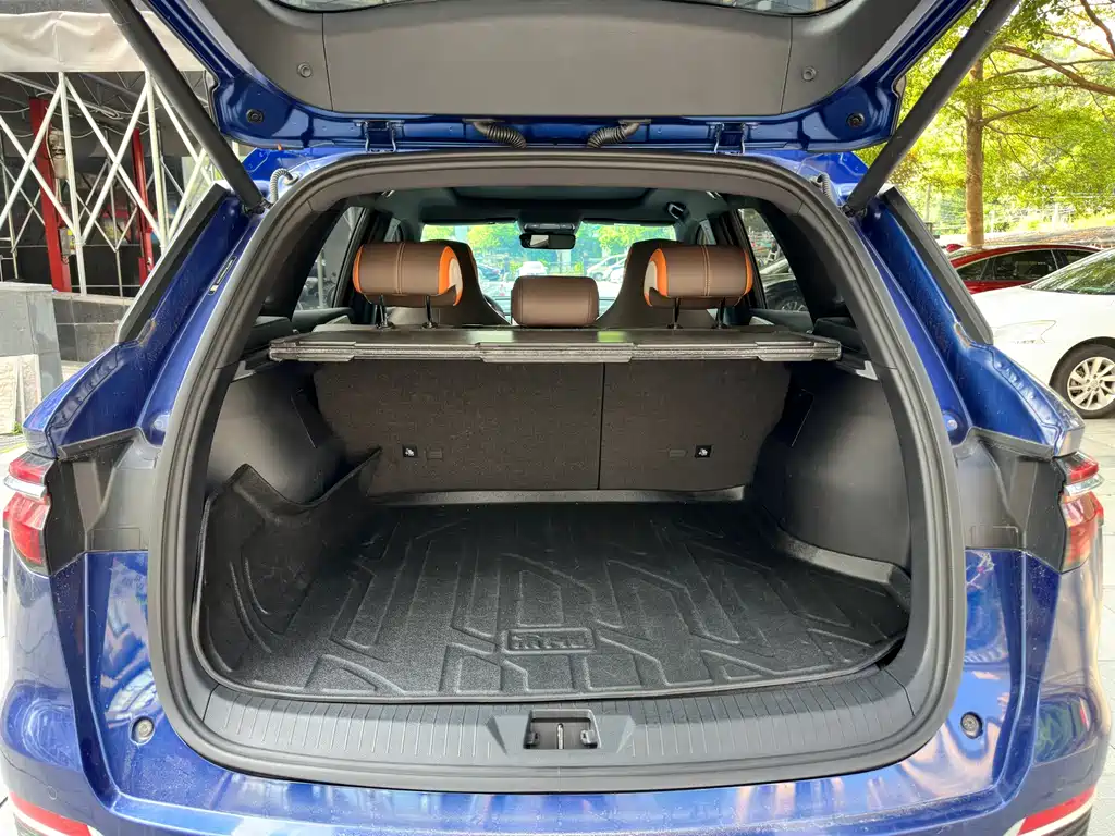 BYD Pro New Energy — миниатюра 21