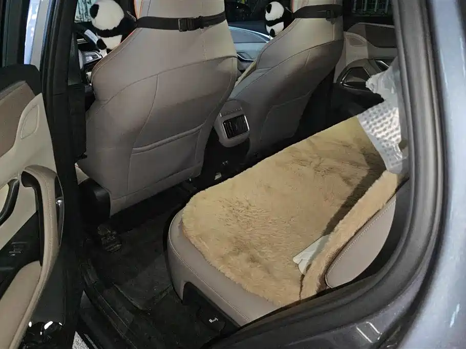 BYD SONGJIANG NEW ENERGY