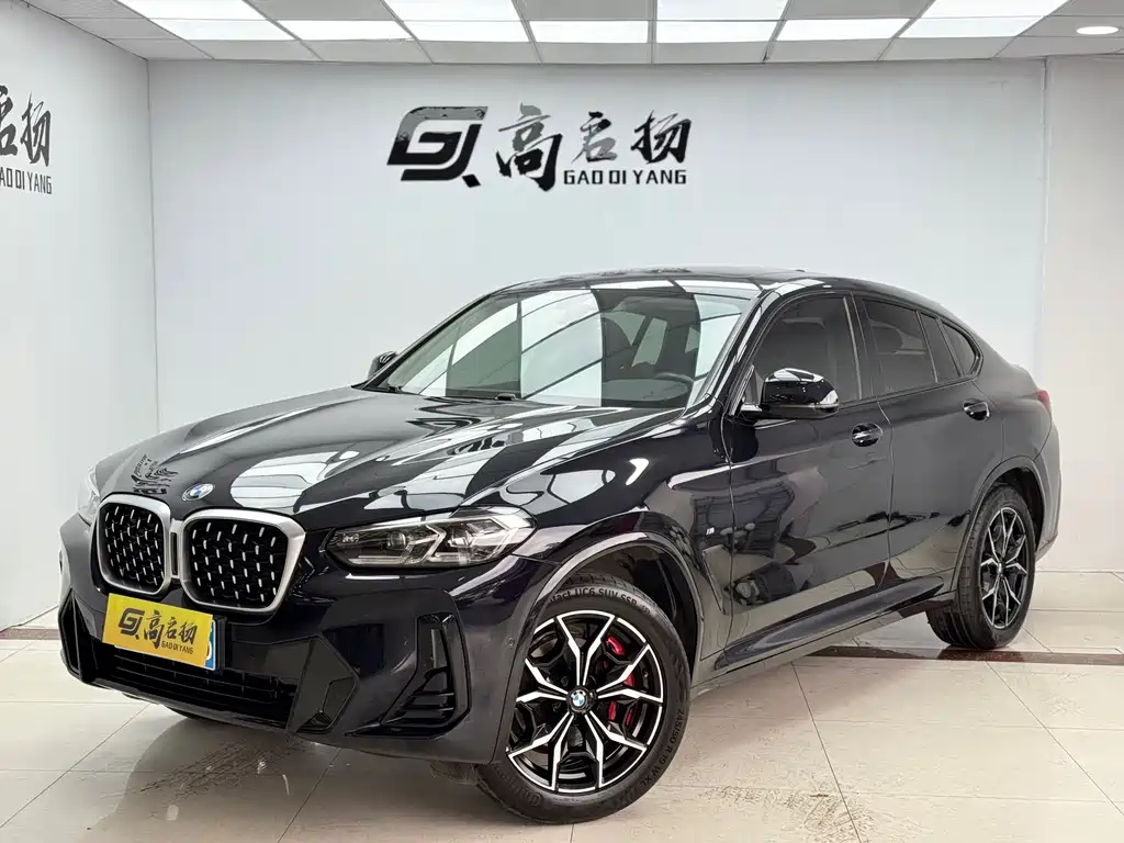 BMW X4 2022