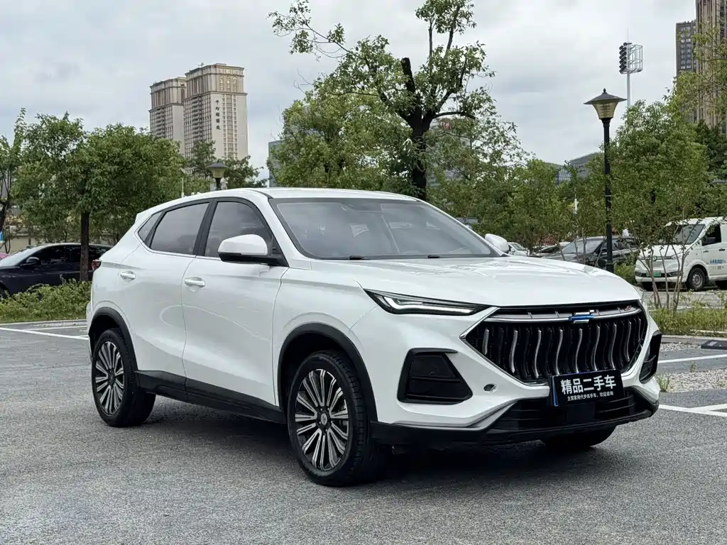 Oshan Oushang X5 — миниатюра 3