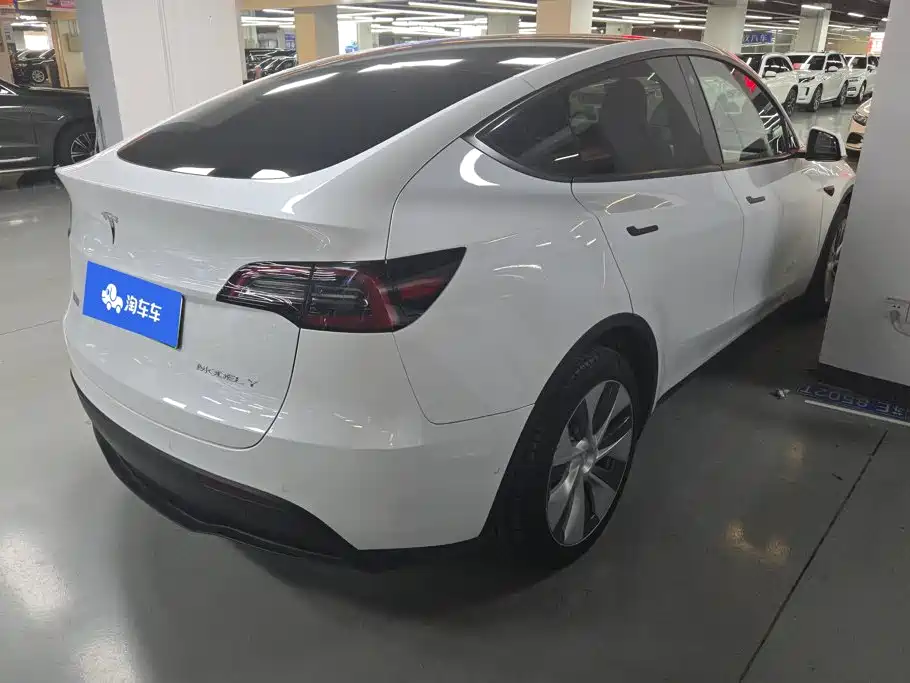 Tesla Model Y — миниатюра 3