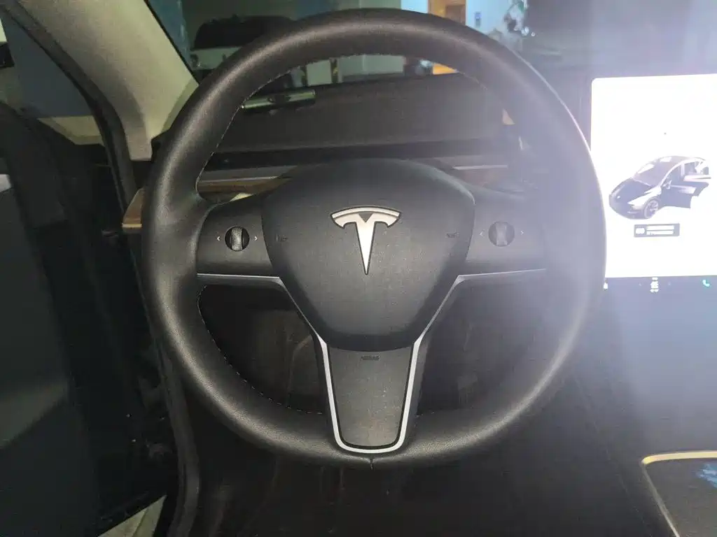 Tesla Model Y — миниатюра 3