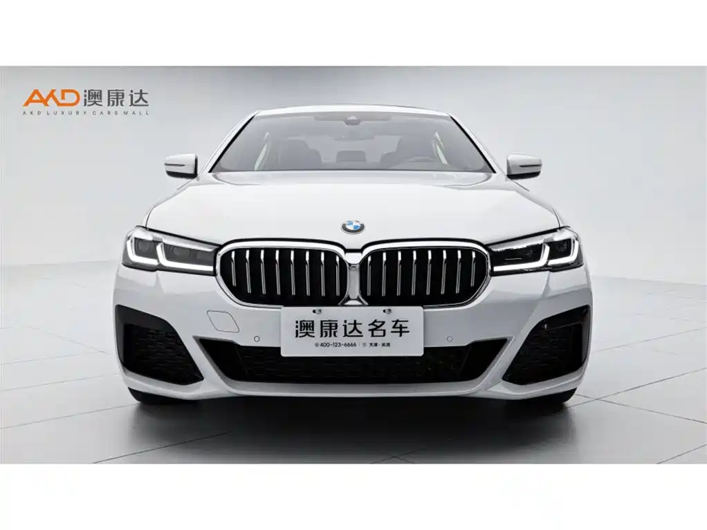 BMW 5 Series — миниатюра 2